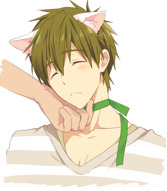 1boy cat_ears free! funikurikurara male_focus tachibana_makoto tagme