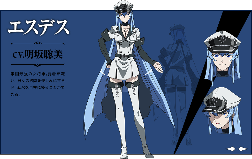 1girl akame_ga_kill! akame_ga_kill!_character_sheet blue_eyes blue_hair breasts cap character_sheet cleavage cross esdeath long_hair military military_uniform official_art simple_background solo thigh-highs uniform very_long_hair