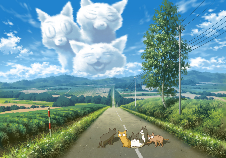 blue_sky cat clouds field grass hill kuruneko no_humans power_lines road scenery shadow sky telephone_pole tree yahha