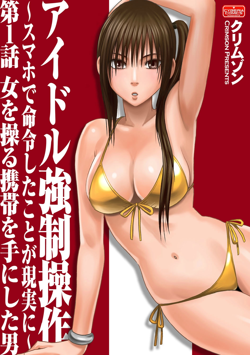 1girl bikini bracelet breasts brown_eyes brown_hair cover cover_page crimson_comics highres jewelry long_hair navel ponytail side_ponytail swimsuit