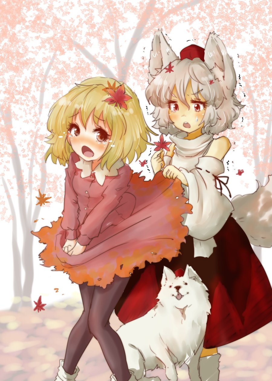 2girls aki_shizuha animal_ears autumn autumn_leaves bangs bare_shoulders blonde_hair bobby_socks breasts brown_eyes brown_legwear commentary_request cowboy_shot detached_sleeves dress dress_lift eyebrows eyebrows_visible_through_hair frilled_shirt_collar frills hair_ornament hand_up hat high_collar highres inubashiri_momiji leaf leaf_hair_ornament long_sleeves maple_leaf maple_tree multiple_girls open_mouth outdoors pantyhose pom_pom_(clothes) red_dress red_eyes red_skirt ribbon-trimmed_sleeves ribbon_trim shirt short_hair skirt skirt_hold skirt_lift sleeveless sleeveless_shirt socks sweatdrop tail tears tikano tokin_hat tongue touhou tree turtleneck white_hair white_legwear white_shirt wide_sleeves wolf wolf_ears wolf_tail