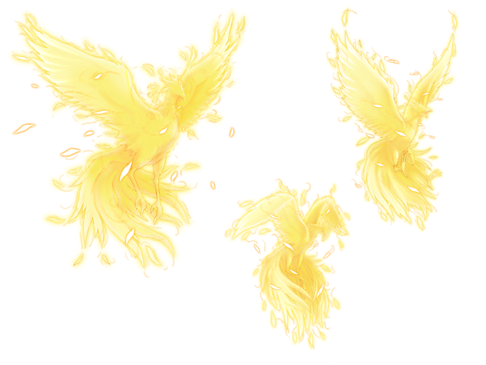 bird caladrius caladrius_(character) feathers fire flying glowing gradient gradient_background no_humans official_art phoenix simple_background solo white_background yasuda_suzuhito