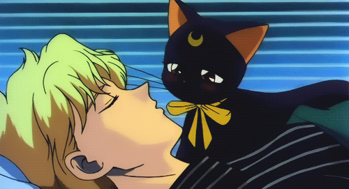 1boy 1girl 90s animated animated_gif bishoujo_senshi_sailor_moon blonde_hair blush brown_eyes cat kakeru_(sailor_moon) kiss luna_(sailor_moon)