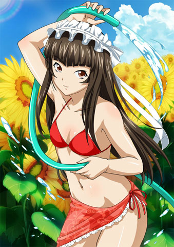 00s 1girl bikini brown_hair female flower ikkitousen long_hair lowres sky swimsuit ten'i_(ikkitousen) water