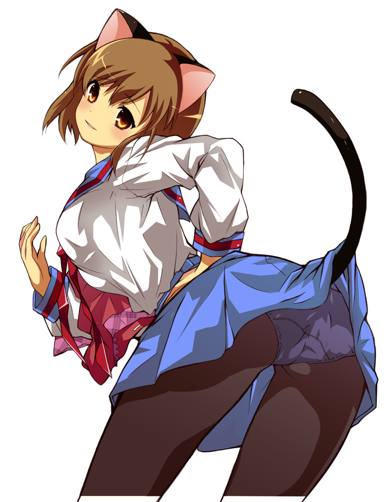 1girl animal_ears cat_ears cat_tail panties panties_under_pantyhose pantyhose sasaki sasaki_(suzumiya_haruhi) school_uniform serafuku solo suzumiya_haruhi_no_yuuutsu tail underwear yuutarou