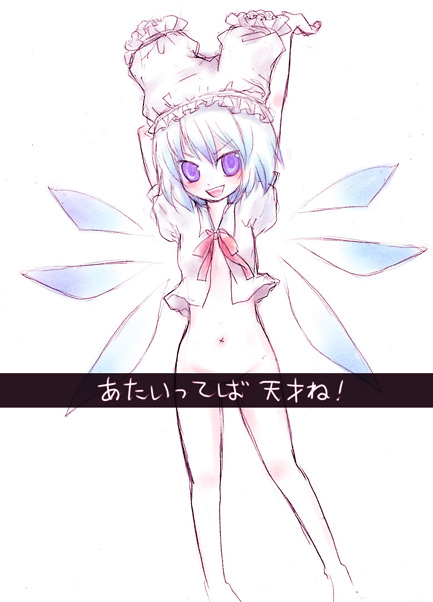 1girl bloomers bloomers_on_head blue_hair bottomless cirno female miyoshi navel object_on_head panties panties_on_head solo the_embodiment_of_scarlet_devil touhou underwear violet_eyes white_background wings