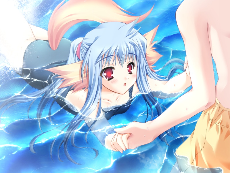 1boy 1girl :o animal_ears blue_hair blush dog_ears flat_chest game_cg hand_holding long_hair moekibara_fumitake nursery_rhyme one-piece_swimsuit open_mouth red_eyes school_swimsuit shikishima_krile solo_focus swim_trunks swimming swimming_lessons swimsuit tail wading water