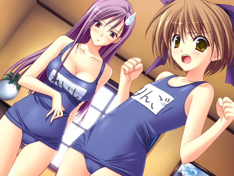 2girls angry blush breasts brown_hair cleavage clenched_hand clenched_hands dutch_angle flat_chest game_cg green_eyes hair_ribbon large_breasts long_hair multiple_girls name_tag ne~pon?_x_rai_pon! one-piece_swimsuit open_mouth purple_hair reishi_(ne~pon?_x_rai_pon!) ribbon ringo_(ne~pon?_x_rai_pon!) school_swimsuit short_hair suzuhira_hiro sweatdrop swimsuit violet_eyes