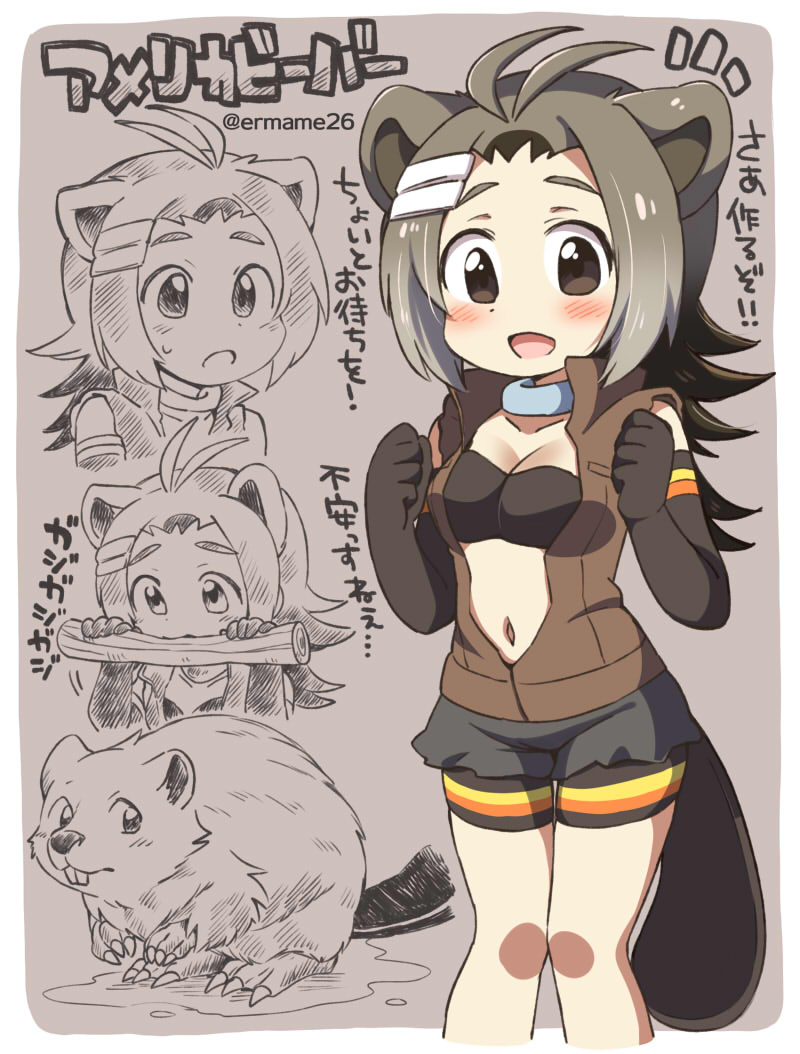 1girl american_beaver_(kemono_friends) antenna_hair artist_name beaver beaver_ears beaver_tail blush breasts brown_eyes cleavage eromame hair_ornament hairclip jacket kemono_friends multicolored_hair open_clothes open_jacket open_mouth shorts