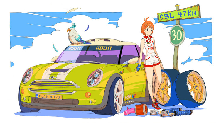 bird car clouds ground_vehicle mini_cooper motor_vehicle opon orange_hair road sign sky tyres vehicle