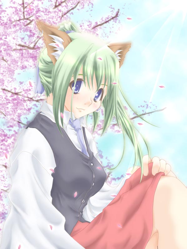 animal_ears blue_eyes green_hair ponytail soba_(saz)