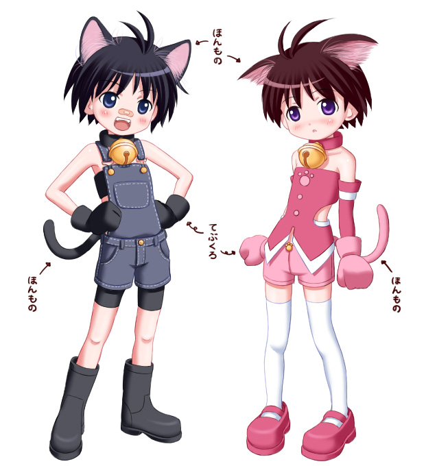 animal_ears antenna_hair cat_ears cute_&amp;_girly_(idolmaster) idolmaster kikuchi_makoto nekopuchi translated