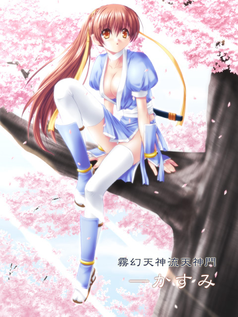 1girl breasts cherry_blossoms cleavage collarbone dead_or_alive full_body in_tree japanese_clothes kasumi_(doa) kimono large_breasts na-ga outdoors pelvic_curtain plant sash sitting solo spring_(season) tecmo thigh-highs tree