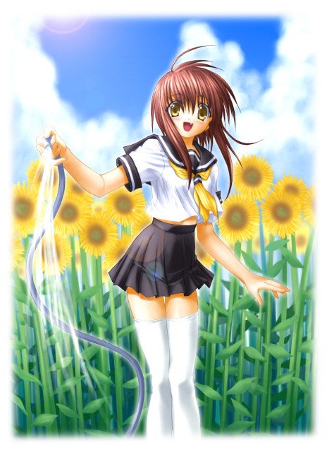 1girl brown_hair fang flower hose midriff na-ga school_uniform serafuku solo sunflower thigh-highs white_legwear yellow_eyes zettai_ryouiki