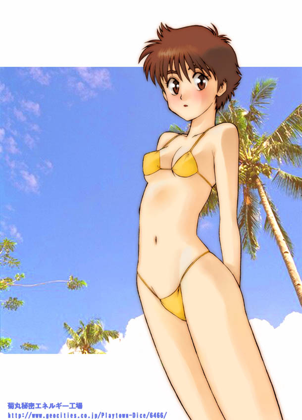 1girl bikini blush breasts brown_eyes brown_hair clouds female izumi_noa kidou_keisatsu_patlabor kikumaru_bunta navel outdoors short_hair sky solo standing swimsuit