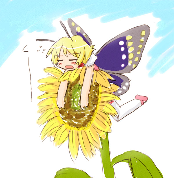 1girl antennae blonde_hair blush butterfly fairy flower mary_janes minigirl pink_shoes shimon shimotsuma shoes solo sunflower thigh-highs wings yuuichi_(tareme_paradise)