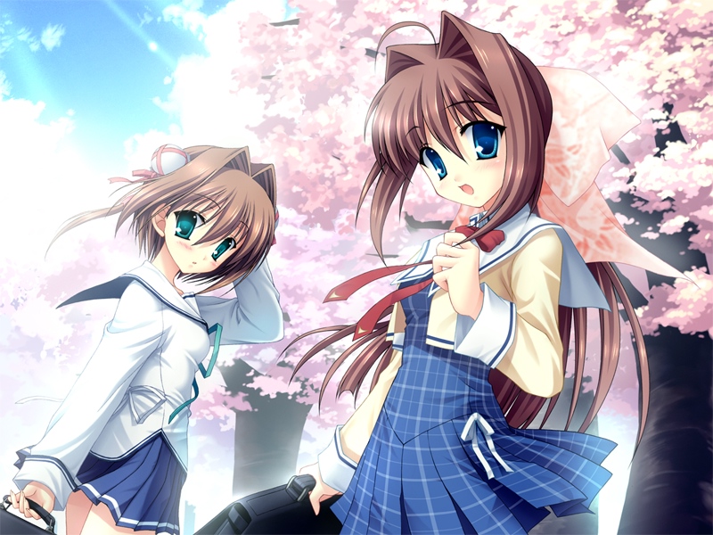 2girls asakura_otome asakura_yume blue_eyes brown_hair cherry_blossoms da_capo da_capo_ii game_cg green_eyes kayura_yuka long_hair multiple_girls school_uniform serafuku short_hair tanihara_natsuki