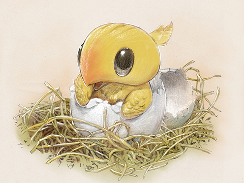 baby bird chick chicobo chocobo egg eggshell final_fantasy final_fantasy_xi hatching lowres nest no_humans solo