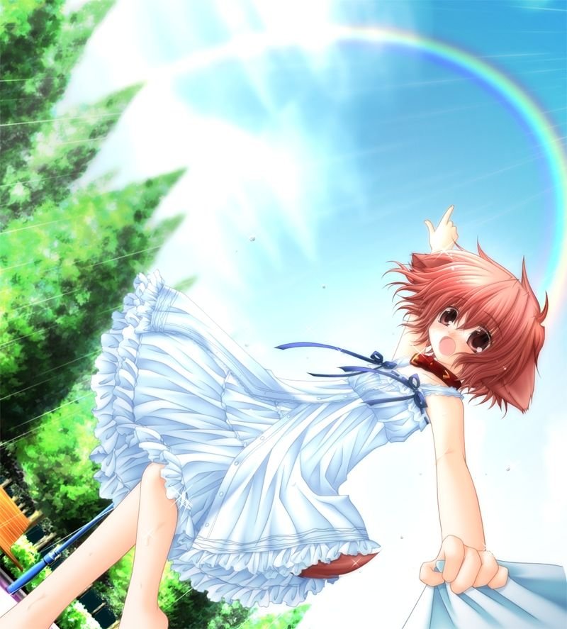 1girl animal_ears arm_up barefoot bench blush bow clouds collar dog_ears dog_tail dragging dress dutch_angle flat_chest frills game_cg hinata_(pure_pure) klein looking_at_viewer open_mouth outdoors pink_eyes pink_hair pointing pov pov_eye_contact pure_pure rain rainbow ribbon sakurazawa_izumi shirt_tug short_dress short_hair sky solo standing sundress tail tongue tree unbuttoned wet