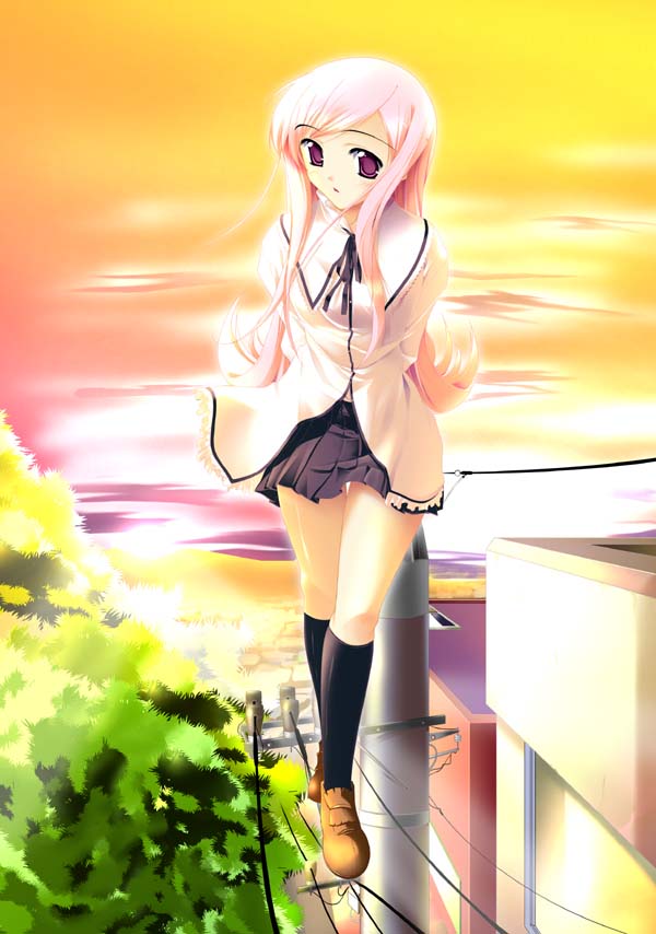 1girl aoi_mikan arms_behind_back head_tilt kneehighs loafers long_hair looking_at_viewer lucy_maria_misora outdoors pink_hair pleated_skirt power_lines shoes skirt solo sunset telephone_pole thigh_gap to_heart_2 tree violet_eyes
