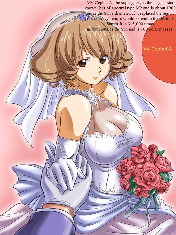00s astronomy bride dress elbow_gloves gloves hina_ichigo older rozen_maiden wedding_dress