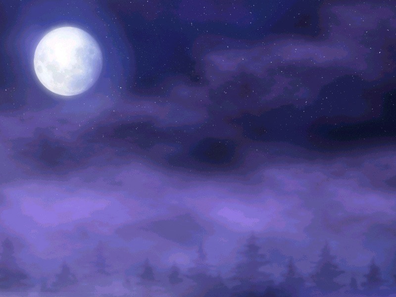 full_moon izumo landscape moon night no_humans pine_tree scenery star tree yamamoto_kazue