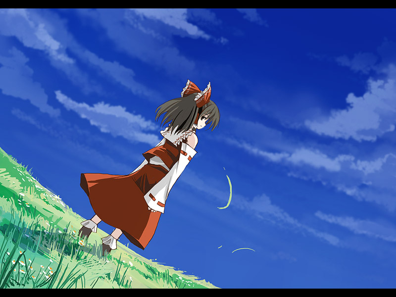 1girl bare_shoulders blue_sky bow brown_hair detached_sleeves dress dutch_angle female from_behind grass hair_bow hakurei_reimu letterboxed long_hair outdoors red_dress red_ribbon red_skirt ribbon scenery seo_tatsuya shadow skirt sky solo touhou
