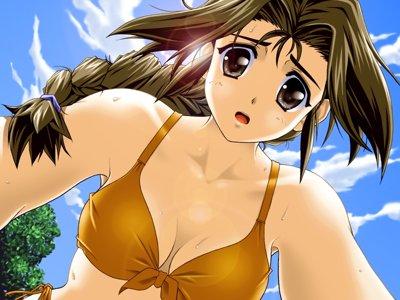 braid brown_eyes brown_hair calendar_girl from_below front-tie_top game_cg long_hair looking_down side-tie_bikini skyhouse swimsuit wet