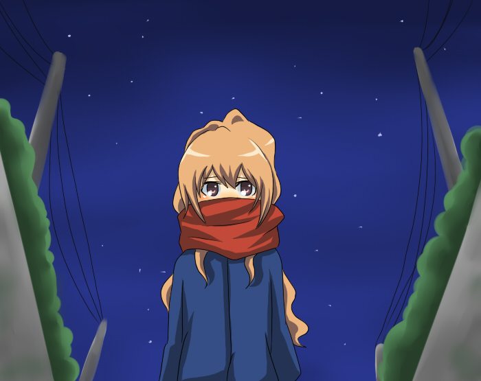 bad_id brown_eyes brown_hair gakei long_hair night power_lines scarf star stars toradora!