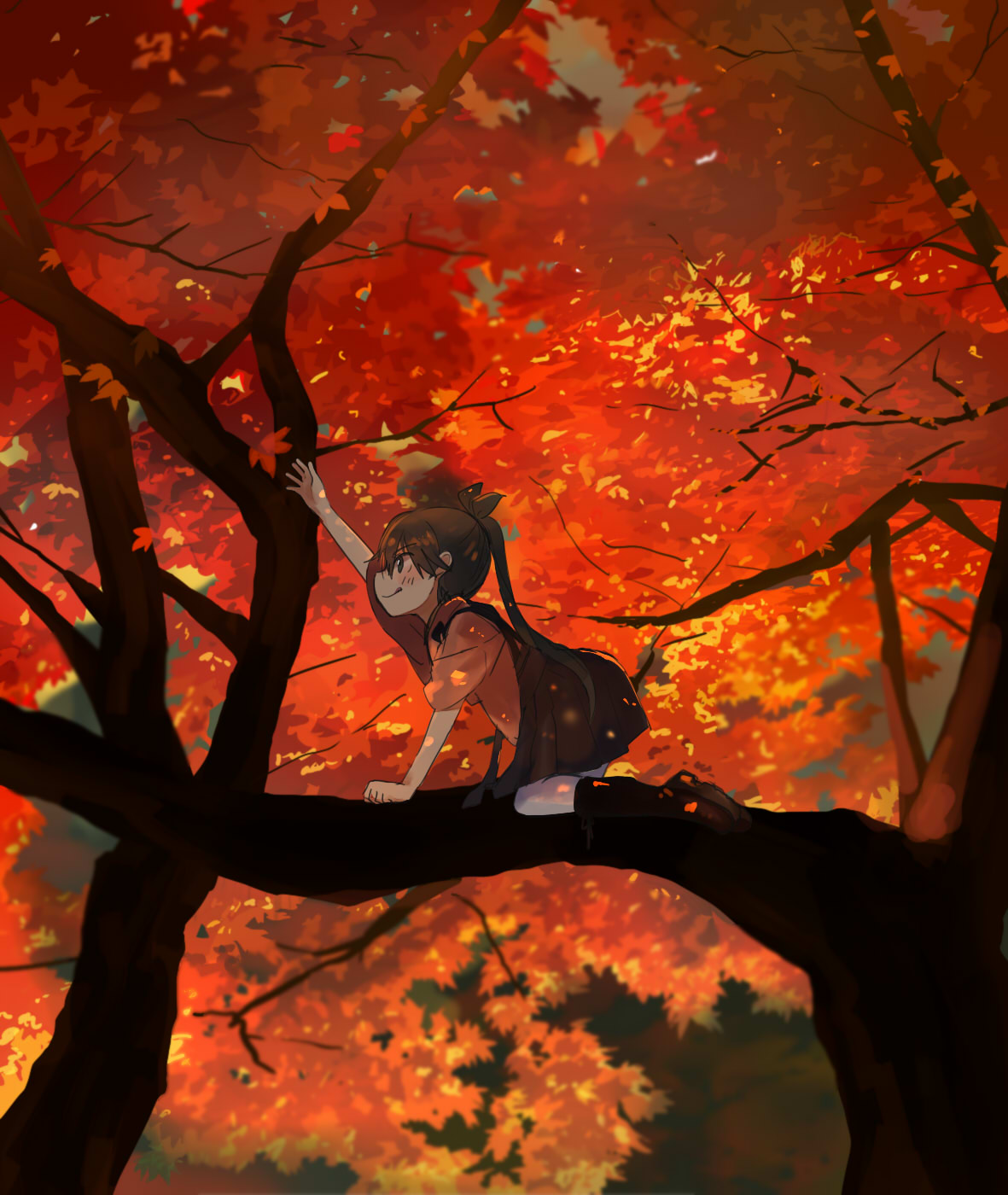1girl :d annin_musou autumn autumn_leaves brown_eyes brown_hair climbing hair_ribbon hakama highres houshou_(kantai_collection) japanese_clothes kantai_collection kimono leaf maple_leaf matching_hair/eyes open_mouth outstretched_arm ponytail ribbon shoes sketch sleeves_rolled_up smile socks solo tongue tongue_out tree tree_branch younger