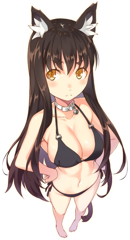 1girl animal_ears bell bell_collar bikini black_bikini black_hair breasts brown_eyes cat_ears cat_tail cleavage collar collarbone foreshortening from_above full_body hands_on_hips kimura_(ykimu) large_breasts long_hair looking_at_viewer navel original side-tie_bikini simple_background slit_pupils solo standing swimsuit tail