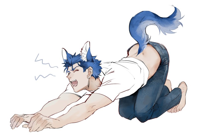 1boy animal_ears barefoot bent_over blue_hair cu_chulainn_(fate)_(all) denim dog_ears dog_tail earrings fate/hollow_ataraxia fate/stay_night fate_(series) guttia jeans jewelry kemonomimi_mode lancer leaning_forward male_focus midriff pants ponytail shirt solo stretch t-shirt tail top-down_bottom-up white_shirt yawning