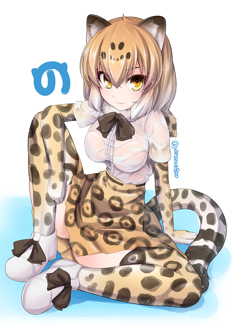 8000 :3 animal_ears breasts collar elbow_gloves eyebrows eyebrows_visible_through_hair eyelashes fluffy_collar full_body gloves gradient_hair hair_between_eyes jaguar_(kemono_friends) jaguar_ears jaguar_tail kemono_friends knee_up large_breasts light_brown_hair looking_at_viewer multicolored_hair neck_ribbon pocket puddle ribbon ribbon-trimmed_clothes ribbon-trimmed_skirt ribbon_trim see-through shirt shoe_ribbon shoes short_hair sidelocks sitting skirt smile socks tail thigh-highs twitter_username two-tone_hair water wet wet_clothes wet_shirt white_background white_shirt yellow_eyes