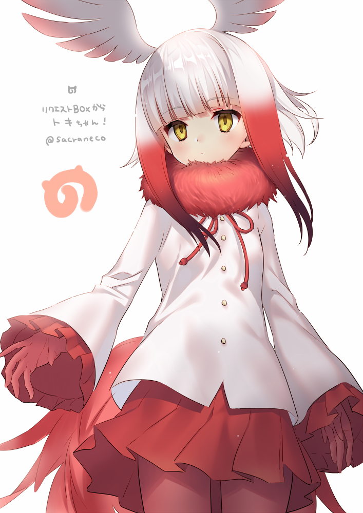 1girl arms_at_sides bangs blunt_bangs breasts buttons covering_mouth cowboy_shot crested_ibis_(kemono_friends) expressionless eyebrows_visible_through_hair frilled_sleeves frills fur_collar gloves head_wings kemono_friends long_sleeves looking_at_viewer multicolored_hair pantyhose pleated_skirt red_eyes red_gloves red_legwear red_ribbon red_skirt ribbon sakura_neko skirt solo standing tareme translation_request two-tone_hair white_background white_hair wide_sleeves yellow_eyes