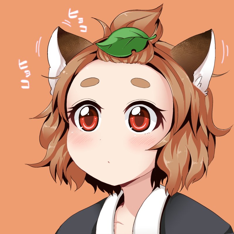 1girl animal_ears brown_hair extra genshi_shin'ichi leaf leaf_on_head raccoon_ears red_eyes short_hair tanuki_mob topknot topknot_tanuki touhou translated wild_and_horned_hermit