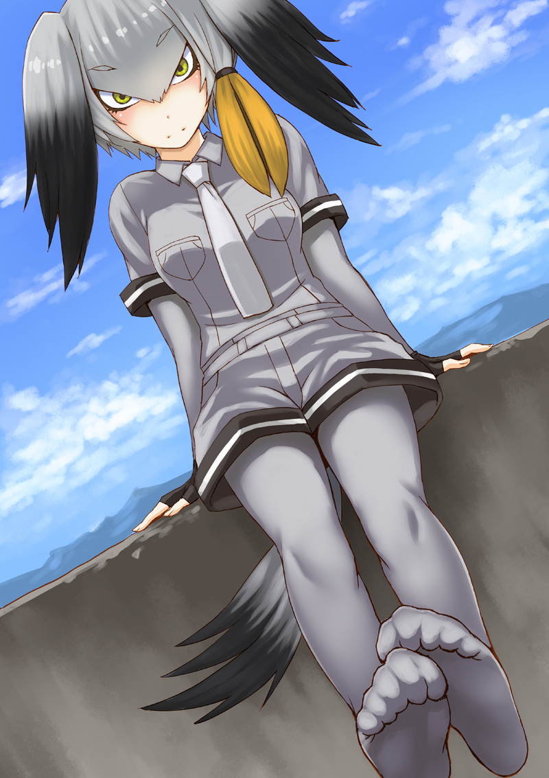 1girl arms_at_sides black_gloves black_hair blue_sky blush breast_pocket breasts cliff closed_mouth collared_shirt day dutch_angle elbow_gloves eyebrows_visible_through_hair feet feet_together fingerless_gloves gloves grey_hair grey_legwear grey_necktie grey_shirt grey_shorts hair_between_eyes kemono_friends kokuryuugan legs_together looking_at_viewer medium_breasts multicolored_hair necktie no_shoes outdoors pantyhose pocket serious shirt shoebill_(kemono_friends) short_sleeves shorts sky sleeve_cuffs soles solo tail toe_scrunch toes twintails two-tone_hair wing_collar yellow_eyes