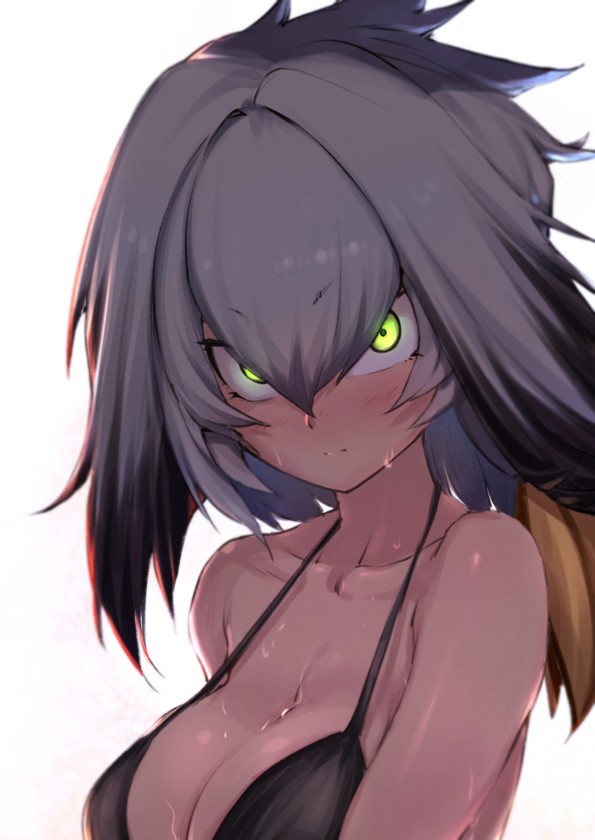 1girl arms_at_sides bare_arms bare_shoulders bikini_top black_hair blush breasts cleavage closed_mouth collarbone eyebrows_visible_through_hair green_eyes grey_bikini grey_bikini_top grey_hair hair_between_eyes highres kemono_friends large_breasts looking_at_viewer multicolored_hair serious shoebill_(kemono_friends) silver_hair simple_background solo strap_gap sweat try tsurime two-tone_hair upper_body white_background