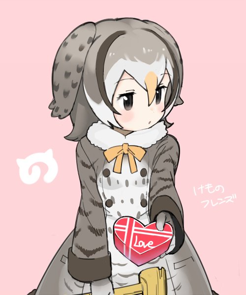 1girl :o artist_request black_eyes blush brown_hair chocolate chocolate_heart coat collar commentary_request copyright_name english eyebrows_visible_through_hair eyelashes food fur_collar gloves grey_hair hair_between_eyes head_wings heart heart-shaped_box holding holding_food jitome kemono_friends kyuushuu_owl_(kemono_friends) long_sleeves looking_away multicolored_hair neck_ribbon offering official_art open_mouth orange_hair orange_ribbon outstretched_arm pink_background pocket ribbon short_hair shy sidelocks simple_background solo valentine white_hair wings