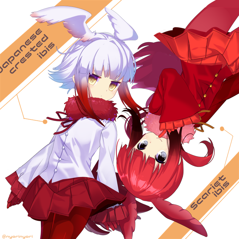 2girls arms_at_sides bangs bird_tail black_eyes blunt_bangs blush blutn_bangs buttons character_doll character_name collar cowboy_shot crested_ibis_(kemono_friends) drawstring english engrish expressionless eyebrows_visible_through_hair finger_to_chin frilled_sleeves frills fur_collar gloves gradient_hair head_wings index_finger_raised jitome kemono_friends long_sleeves looking_at_viewer low_twintails multicolored_hair multiple_girls nyori pantyhose pleated_skirt ranguage red_gloves red_legwear red_shirt red_skirt redhead scarlet_ibis_(kemono_friends) shirt short_hair short_hair_with_long_locks sidelocks skirt smile tail tareme twintails twitter_username two-tone_hair upside-down white_background white_hair white_shirt wide_sleeves wings yellow_eyes