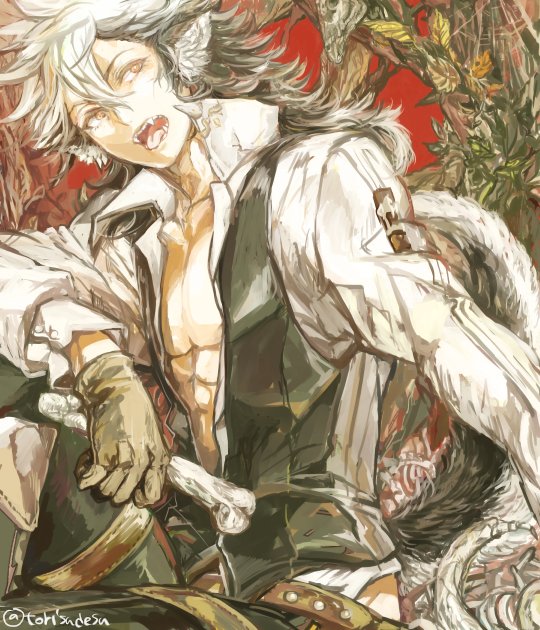 1boy abs animal_ears black_hair bone brown_gloves european_clothes fangs fire_emblem fire_emblem_if flannel_(fire_emblem_if) gloves long_hair male_focus multicolored_hair open_mouth pectorals red_background sitting tail toned toned_male torisudesu white_hair wing_collar wolf_ears wolf_tail