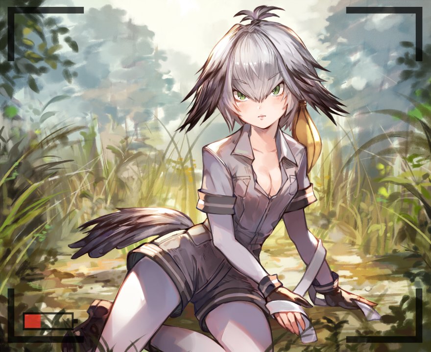 1girl blonde_hair bodysuit boots breasts cleavage commentary_request fingerless_gloves gloves grass green_eyes grey_hair grey_shirt hair_flaps looking_at_viewer multicolored_hair outdoors pantyhose pantyhose_under_shorts parted_lips partially_unbuttoned pepeto_(cocoyuzumugi) shadow shirt shoebill_(kemono_friends) short_sleeves shorts sitting sitting_on_ground solo sunlight tree viewfinder
