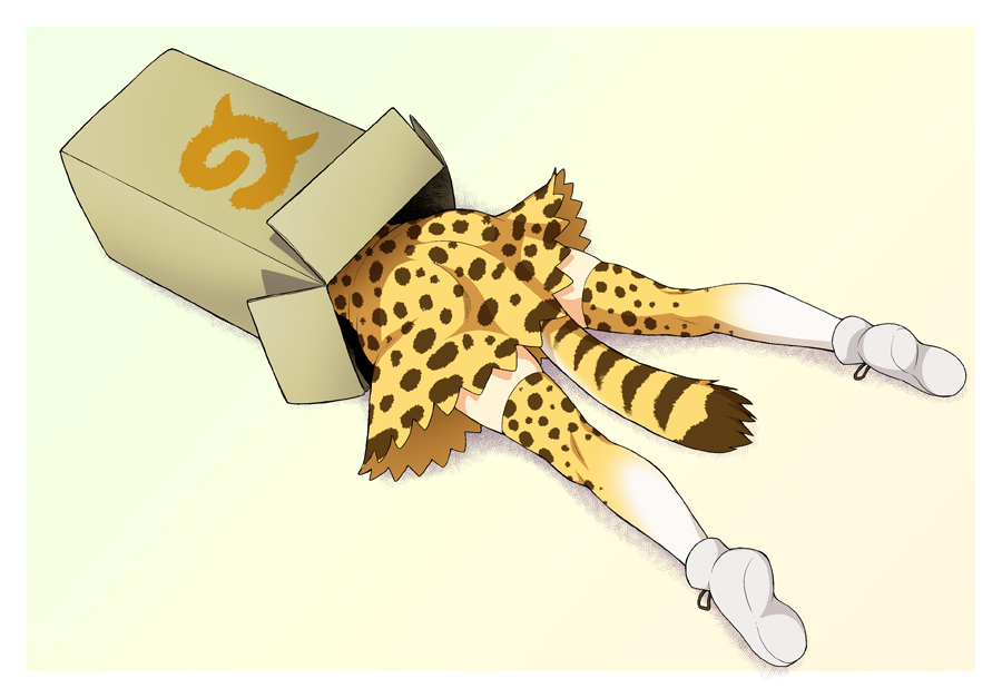 1girl box cardboard_box cat_tail from_above high-waist_skirt in_box in_container japari_symbol kemono_friends kouda_tomohiro lying multicolored multicolored_clothes multicolored_legwear on_stomach serval_(kemono_friends) serval_print serval_tail shoe_soles shoes simple_background skirt socks solo tail thigh-highs white_shoes yellow_background zettai_ryouiki