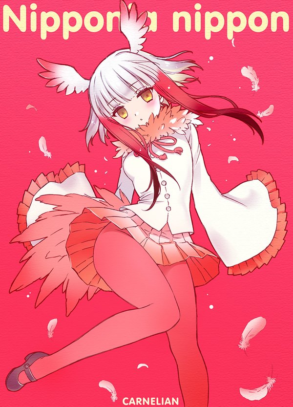 1girl artist_name bangs bird_tail blunt_bangs blush carnelian commentary_request crested_ibis_(kemono_friends) feathers frilled_sleeves frills head_wings kemono_friends legs long_sleeves looking_at_viewer mary_janes multicolored_hair open_mouth pantyhose pleated_skirt red_background red_legwear shoes short_hair sidelocks skirt solo two-tone_hair yellow_eyes