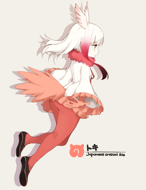 1girl :o ass bangs blunt_bangs crested_ibis_(kemono_friends) english frilled_sleeves frills from_side full_body fur_collar half-closed_eyes head_wings kemono_friends legs long_sleeves multicolored_hair open_mouth pantyhose pleated_skirt red_legwear shirt short_hair_with_long_locks simple_background skirt solo souji tail text two-tone_hair white_background white_hair white_shirt wide_sleeves yellow_eyes