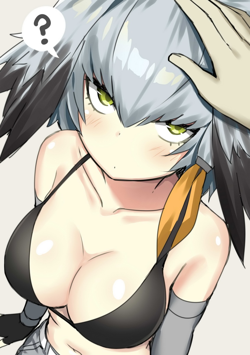 1girl ? arms_at_sides bare_shoulders bikini bikini_top black_bikini_top black_gloves black_hair blush breasts cleavage closed_mouth collarbone elbow_gloves expressionless gloves gradient_hair green_eyes hair_between_eyes hands highres kemono_friends large_breasts looking_at_viewer looking_up multicolored_hair navel petting pov pov_hands shiny shiny_hair shiny_skin shoebill_(kemono_friends) silver_hair sky_(freedom) solo_focus speech_bubble spoken_question_mark stomach swimsuit