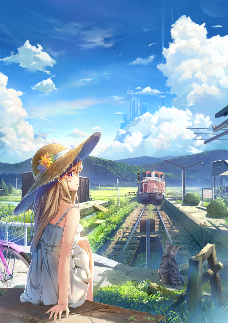 1girl bicycle blonde_hair blue_sky building cat clouds dress flower from_behind grass ground_vehicle hat long_hair looking_at_viewer original scenery shadow sitting sky sundress train violet_eyes white_dress wingheart