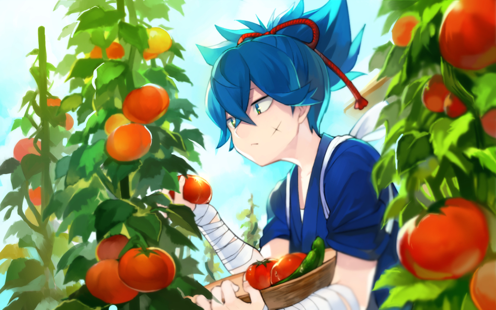 1boy anina bandaged_arm blue_eyes blue_hair food fruit garden japanese_clothes leaf male_focus pea_pod persimmon sayo_samonji scar solo tasuki tomato touken_ranbu upper_body vegetable