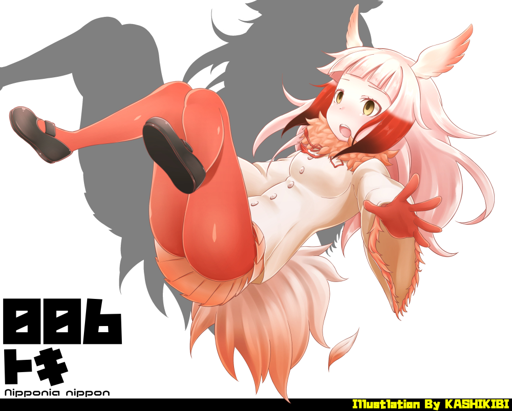bangs blunt_bangs commentary_request crested_ibis_(kemono_friends) gloves head_wings kemono_friends kurosawa_(kurosawakyo) long_sleeves multicolored_hair open_mouth pantyhose pleated_skirt red_legwear redhead scientific_name shirt sidelocks skirt tail tail_feathers translated two-tone_hair white_hair white_shirt yellow_eyes