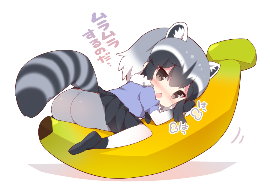 1girl animal_ears ass banana black_gloves black_hair blush fang food fruit gloves kemono_friends looking_at_viewer multicolored_hair open_mouth pantyhose raccoon_(kemono_friends) raccoon_ears short_hair simple_background skirt solo tail translation_request watanohara white_background white_hair