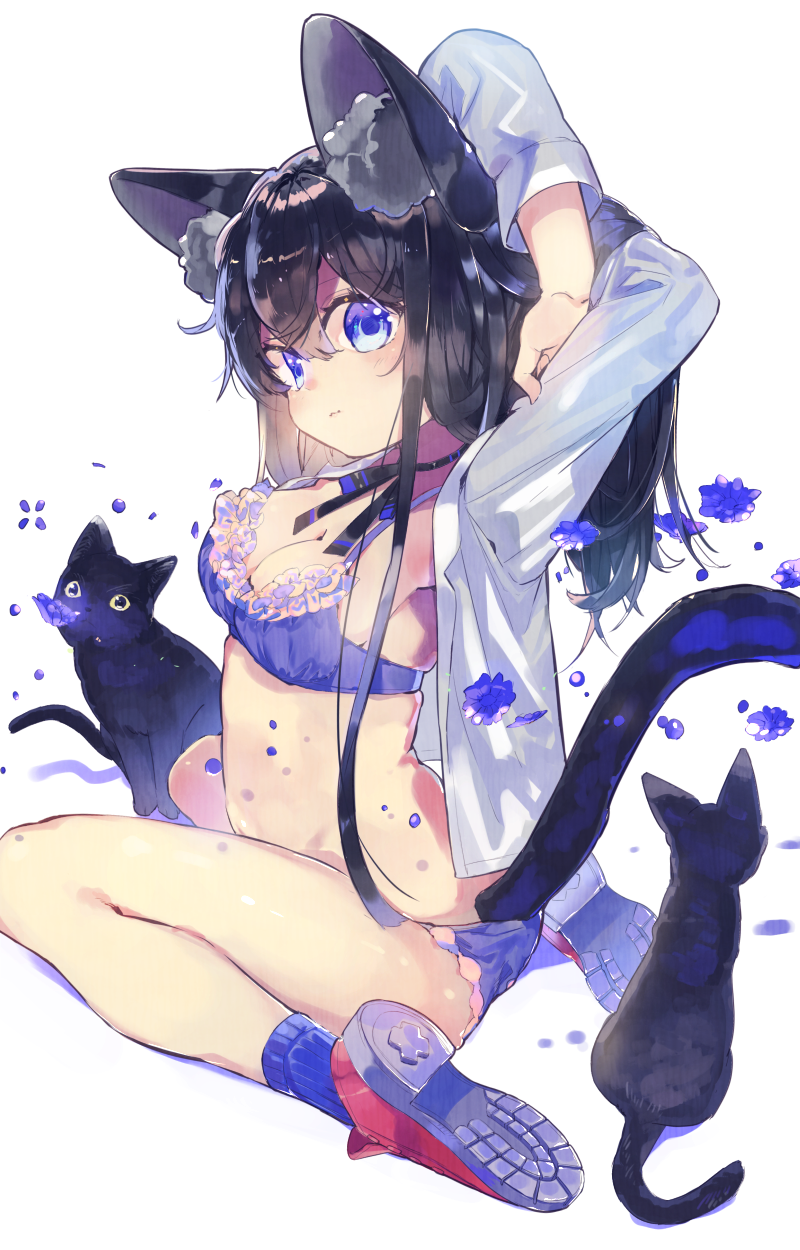 1girl animal_ears arms_behind_back bangs black_cat black_hair black_ribbon blue_bra blue_eyes blue_legwear blue_panties bra cat cat_ears cat_girl cat_tail closed_mouth dress_shirt eyebrows_visible_through_hair frilled_bra frilled_panties frills from_side hair_between_eyes highres kinokoko-kino long_hair looking_at_viewer neck_ribbon open_clothes open_shirt original panties ribbed_legwear ribbon shirt shoes sitting sneakers socks solo stretch tail thighs underwear wariza